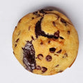Chocolate chip cookie on a white background